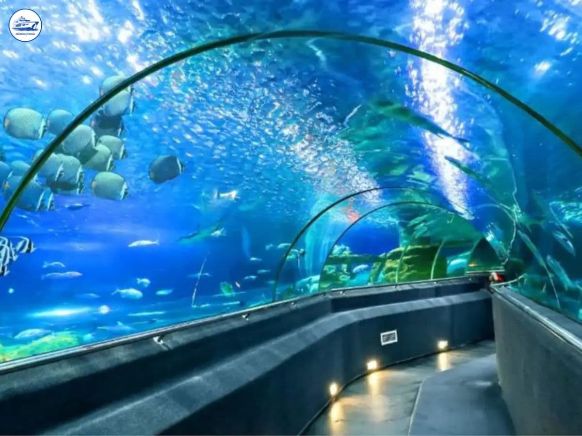 địa điểm check-in nha trang