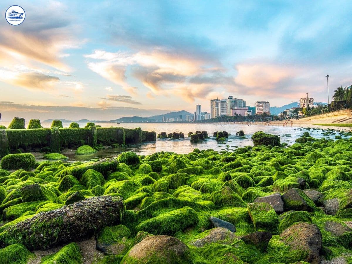 địa điểm check-in nha trang