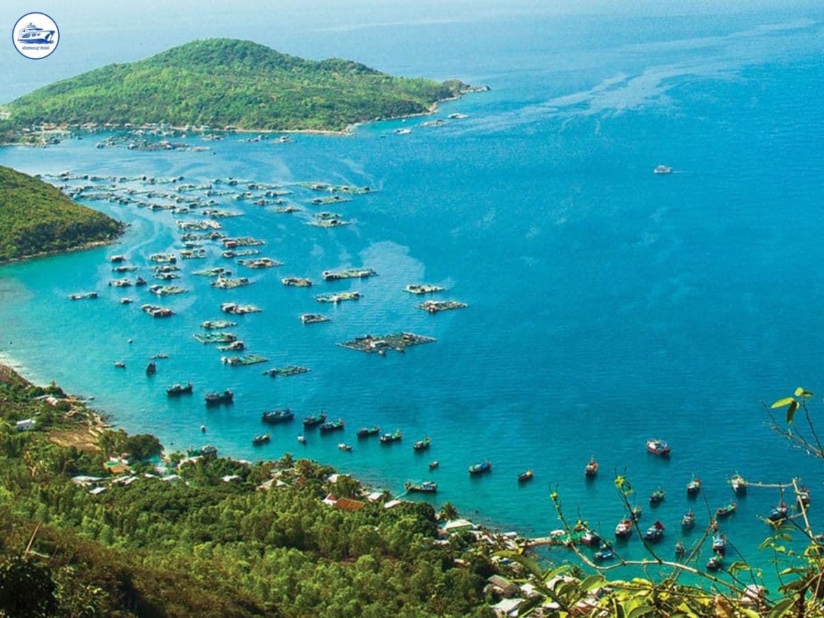 địa điểm check-in nha trang