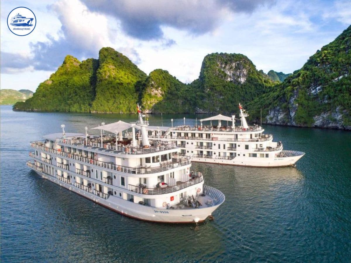 du thuyền lớn nhất việt nam