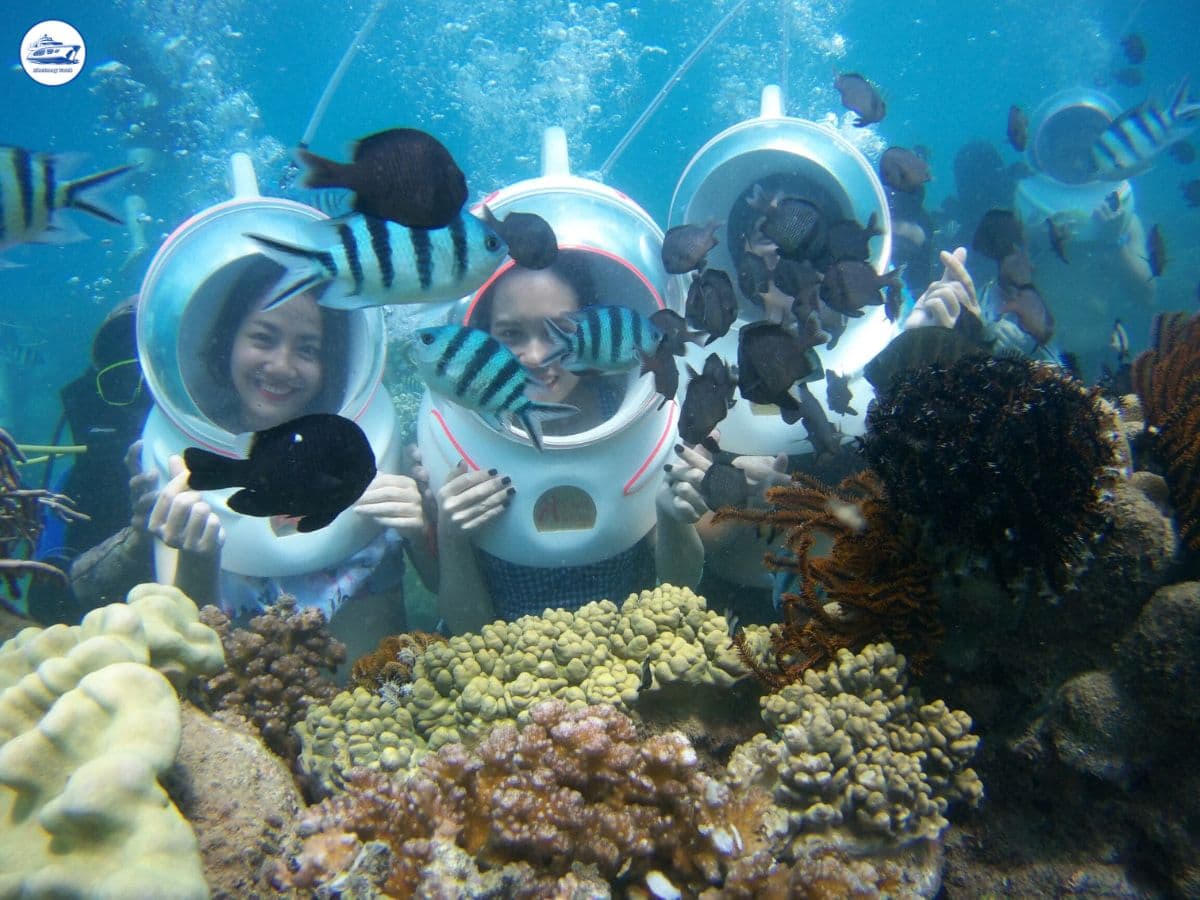 tour đi bộ đáy biển nha trang