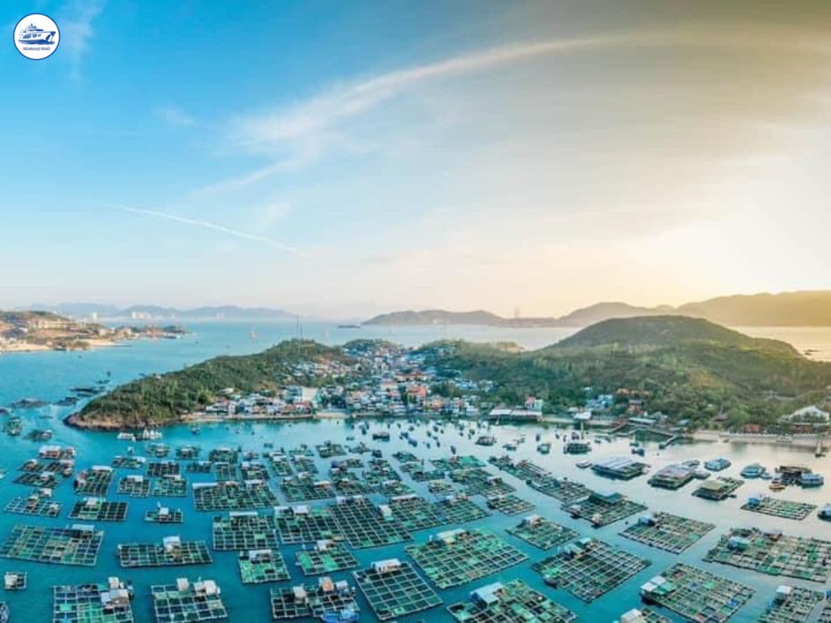tour đi bộ đáy biển nha trang