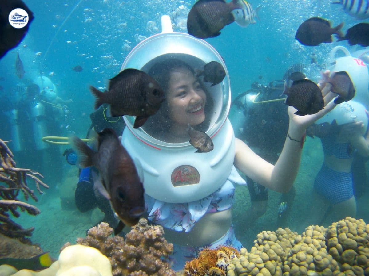 tour đi bộ đáy biển nha trang