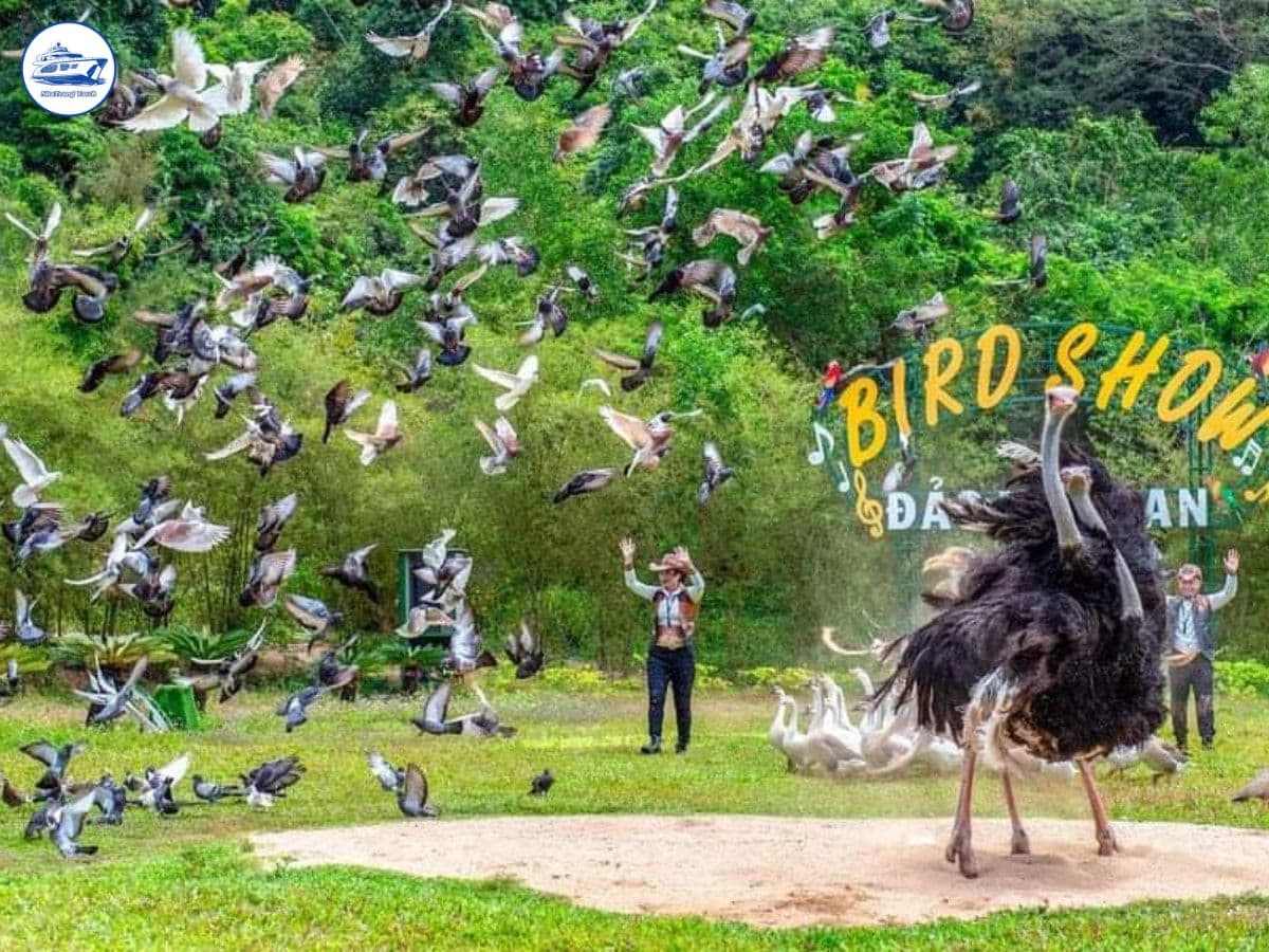 tour đảo khỉ đảo hoa lan nha trang